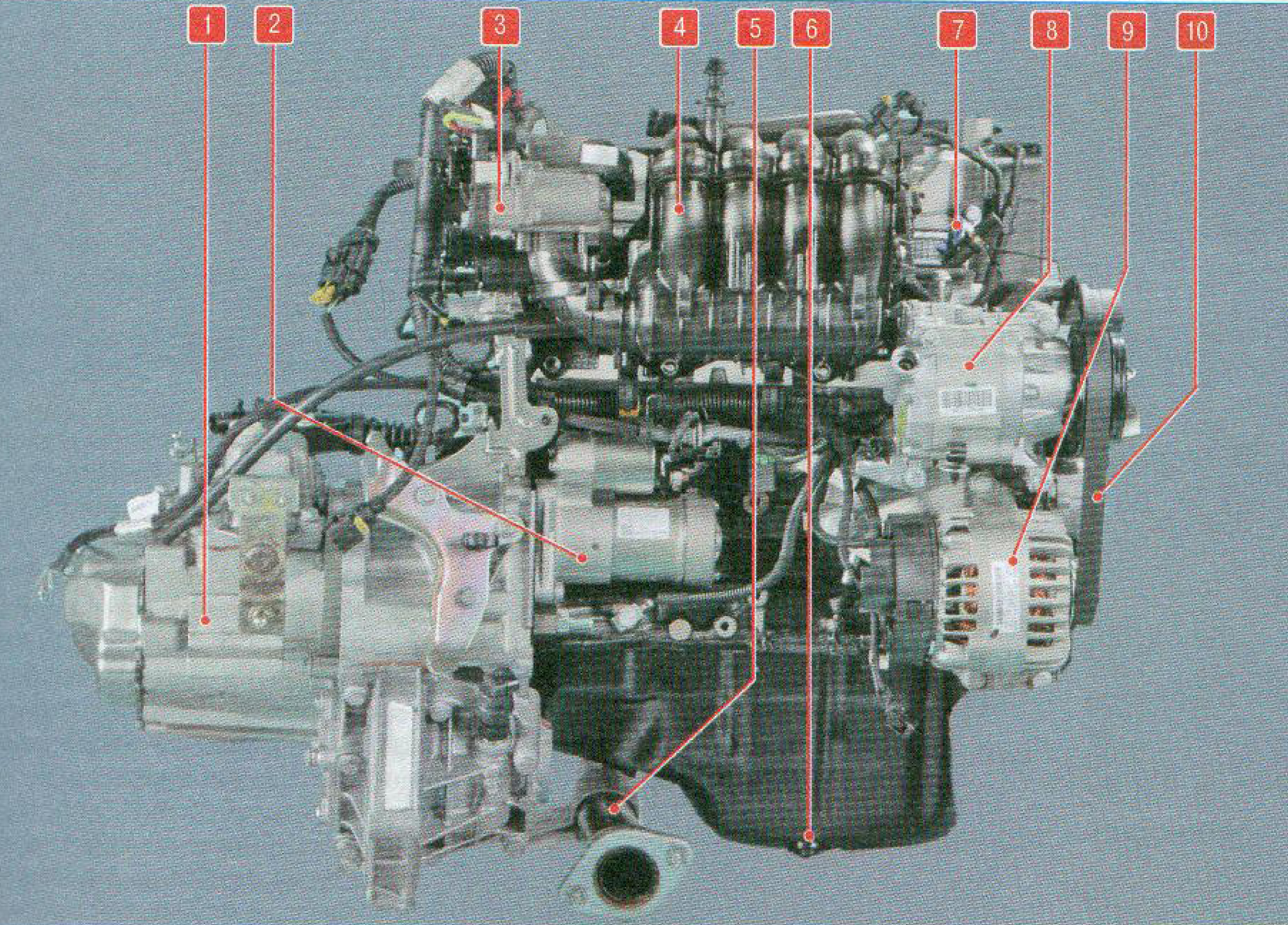 фиат альбеа двигатель 1 3