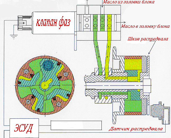 фаз