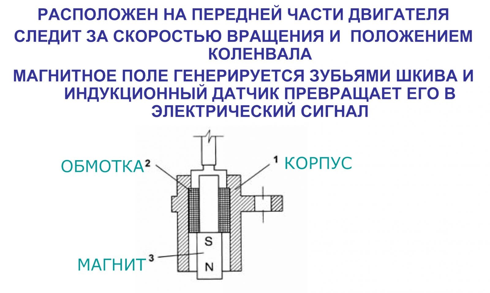 колен