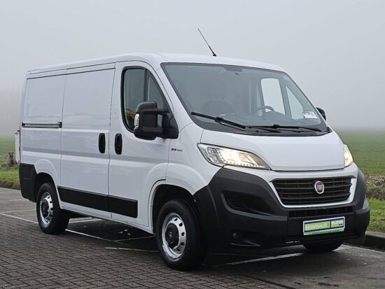 Fiat Ducato Cargo: грузовой минивэн для бизнеса и активного отдыха